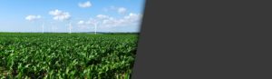 matutina-paysage-paysagiste-energie-eolien-Territoires-visuel-haut-1