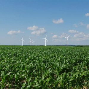 matutina paysage paysagiste energie eoliennes approches et méthodes